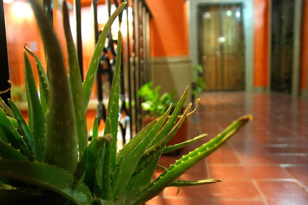 Parador San Fernando Oaxaca Dış mekan fotoğraf